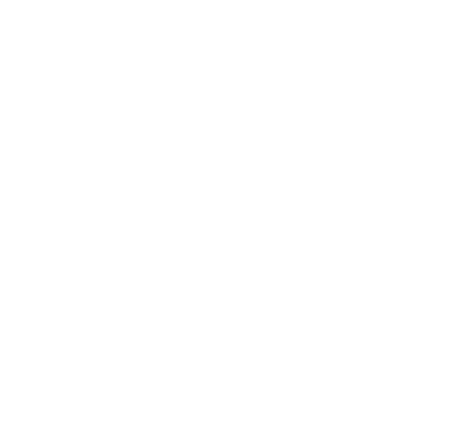 Debeerst schrijnwerkerij Logo wit